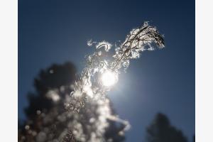 Lichtblick