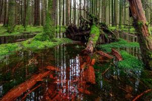 Zu viel Wasser kann ungesund sein Zu viel Wasser kann ungesund sein