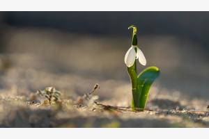 Letzte Sonnenstrahlen im Februar
