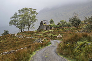 Forgotten House