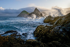 Coastal Storm