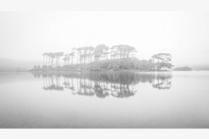 Reflections