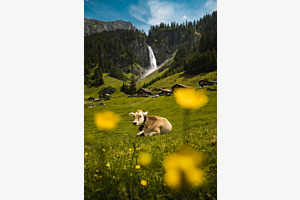 Bilderbuch Schweiz