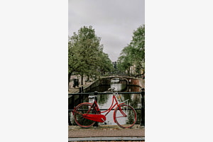 Das rote Fahrrad