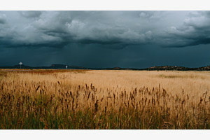 Ein Sturm zieht auf