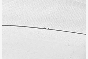 White Walk White Walk