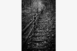 Waldweg