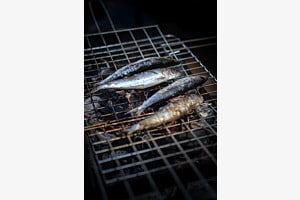 Fisch Fisch