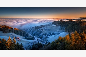 FROZEN FOGLINE FROZEN FOGLINE