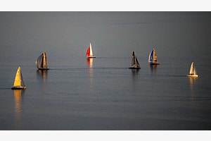 Regatta im letzten Sonnenlicht