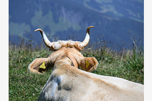 Ahhhh, diese Aussicht!!!