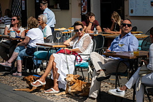Die Dame in Weiss mit ihren Hunden