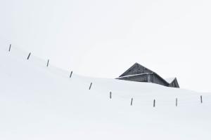 Im Winterschlaf