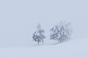 Silence