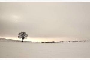 Winterstimmung im Seeland Winterstimmung im Seeland