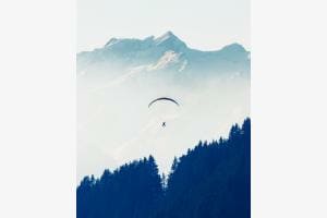 Open your wings and fly! 