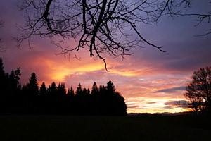 Frühmorgens...