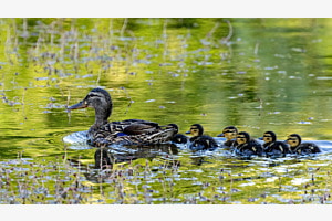 Familienausflug