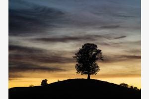 Sonnenaufgang auf dem Hirzel Sonnenaufgang auf dem Hirzel