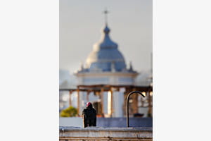 Vulture reigning over the city’s rooftops 