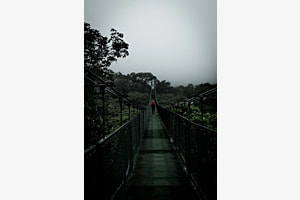 Monteverde Mystischer Nebelwald