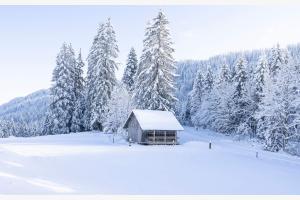 Winter Wonderland Winter Wonderland