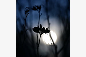 Erde und Sonne