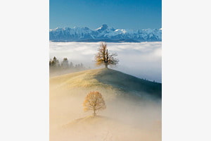 Nebel im Emmental