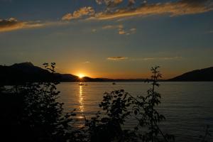 Am Thunersee Am Thunersee