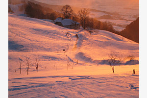 Jura frühmorgens