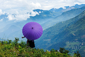 Under my umbrella 