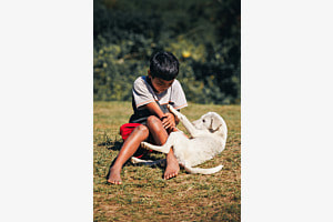  Play friends
