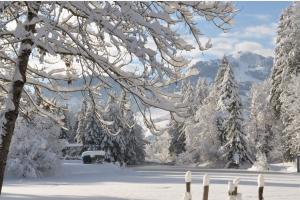 Winteridylle Winteridylle