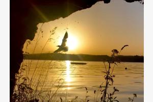 free as a bird.. free as a bird..