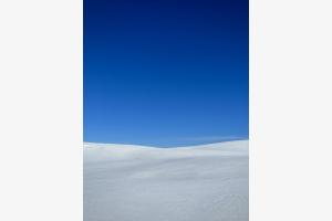 White2 White2