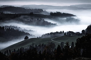 Landschaft