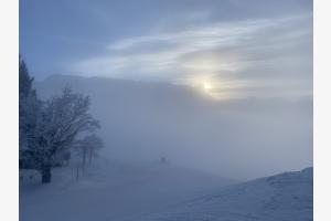 Frozen Times Frozen Times