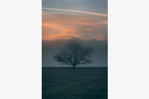 Nebel Nebel