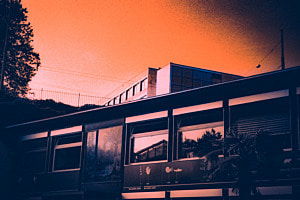 City Sunset 