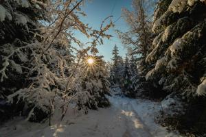 Winterlandschaft
