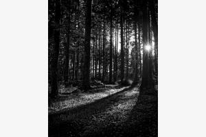 Licht und Schatten