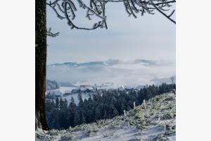 Blick ins Emmental