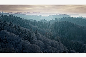 Winter im Emmental