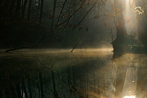 Abendstimmung am Weiher