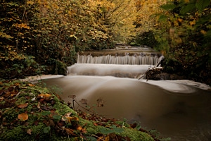 Goldener Herbst Goldener Herbst