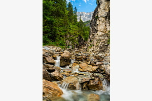 Natur pur Natur pur