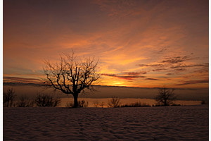 Abendstimmung