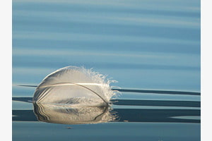 Sommerabschied Sommerabschied