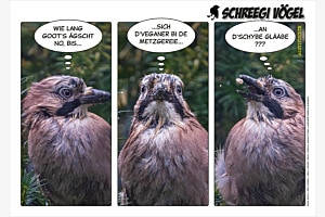 Aggtivischte