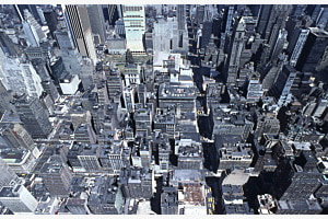 NY NY